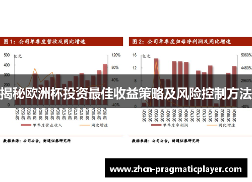 揭秘欧洲杯投资最佳收益策略及风险控制方法