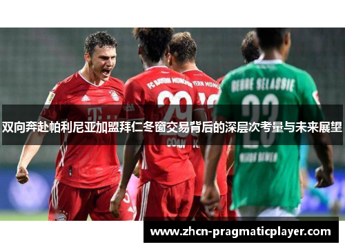 双向奔赴帕利尼亚加盟拜仁冬窗交易背后的深层次考量与未来展望