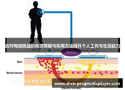 应对每周挑战的高效策略与实用方法提升个人工作与生活能力