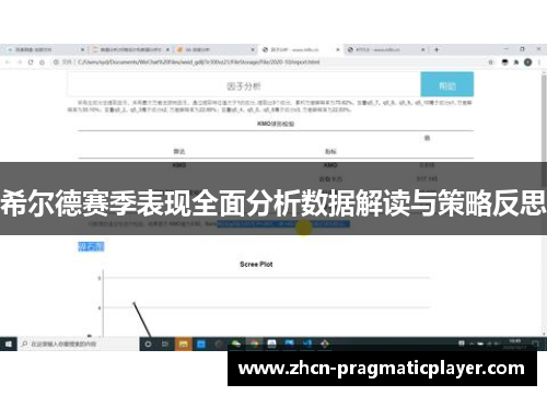 希尔德赛季表现全面分析数据解读与策略反思