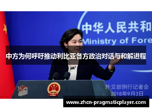 中方为何呼吁推动利比亚各方政治对话与和解进程
