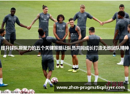 提升球队凝聚力的五个关键策略让队员共同成长打造无敌团队精神