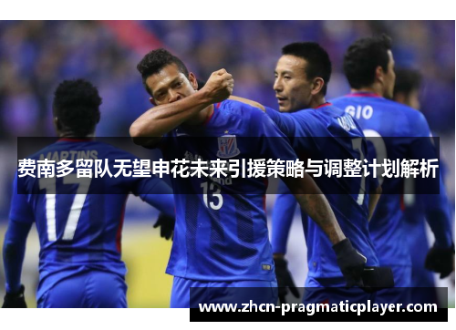 费南多留队无望申花未来引援策略与调整计划解析