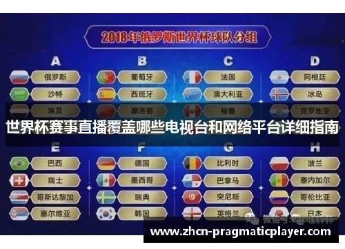 世界杯赛事直播覆盖哪些电视台和网络平台详细指南